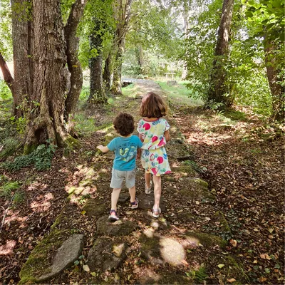child ages 4 and 6 walking in woods