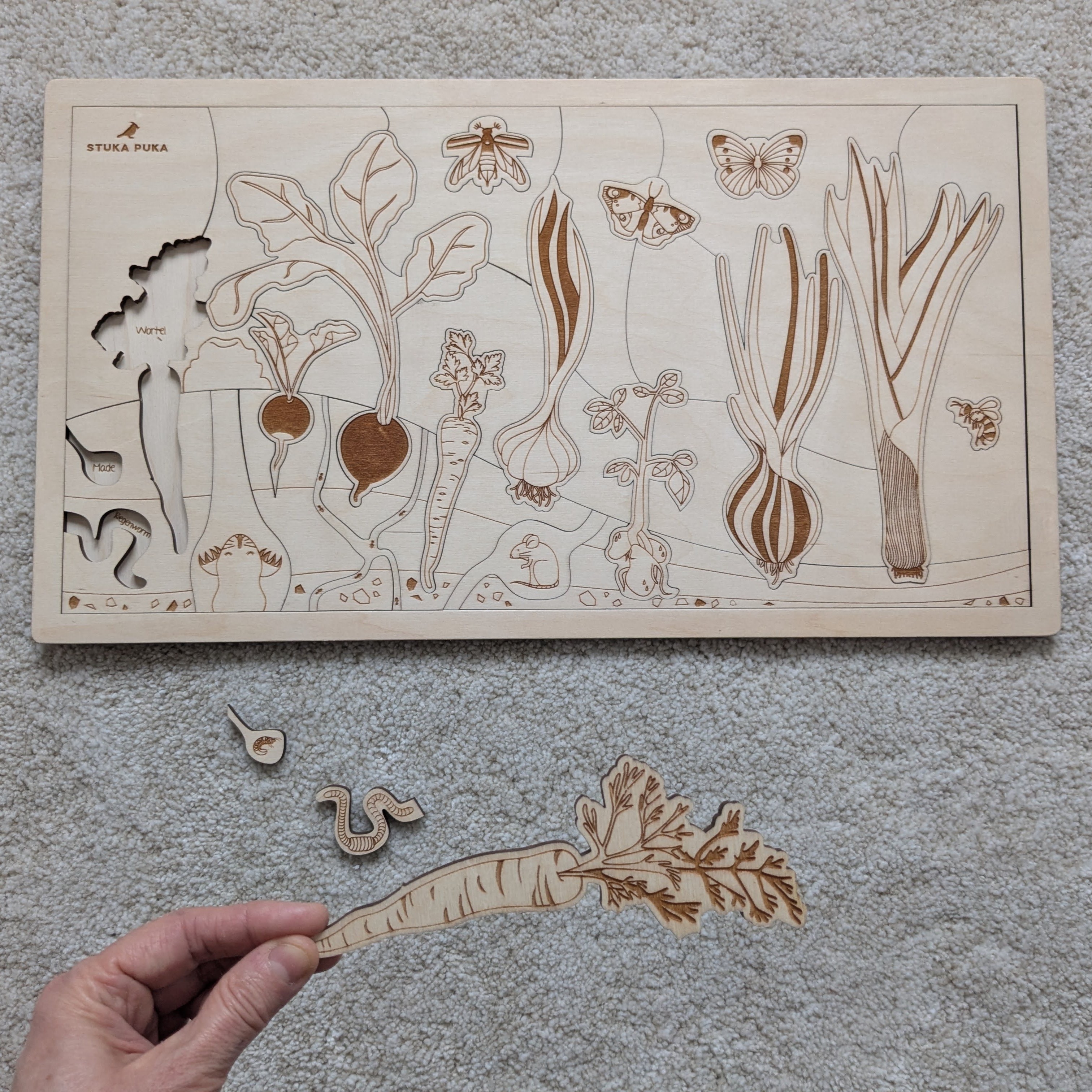 Nature Learn