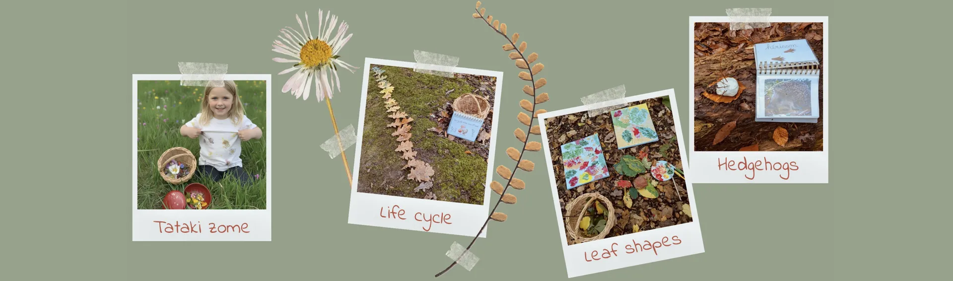 Lil' Discoveries Nature Activities